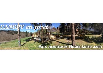 Canopy en forêt parcours adulte