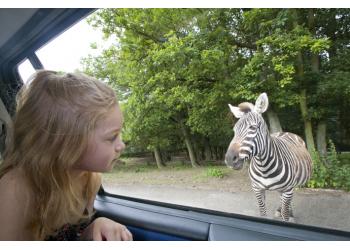 Safari de Peaugres Enfant