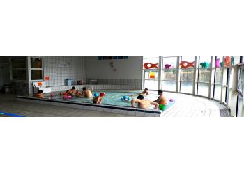 Piscine Lavoute sur Loire Adulte